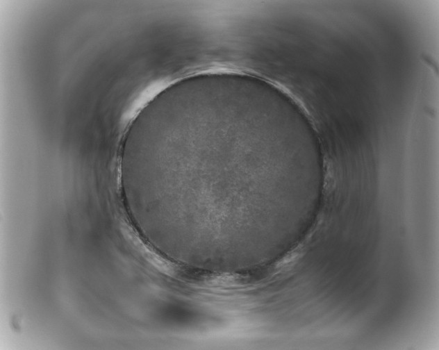 X0000100231367200805301403