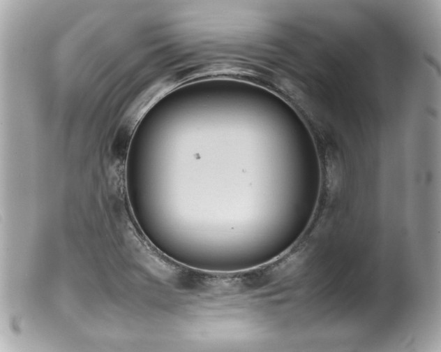 X0000100231369200805301403