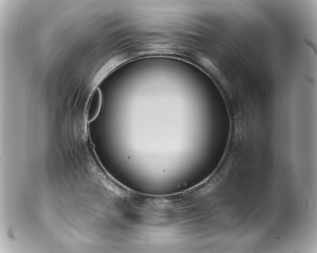 X0000100231370200805301403