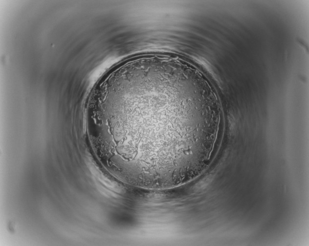 X0000100231371200805301403