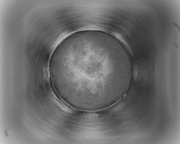 X0000100231372200805301403