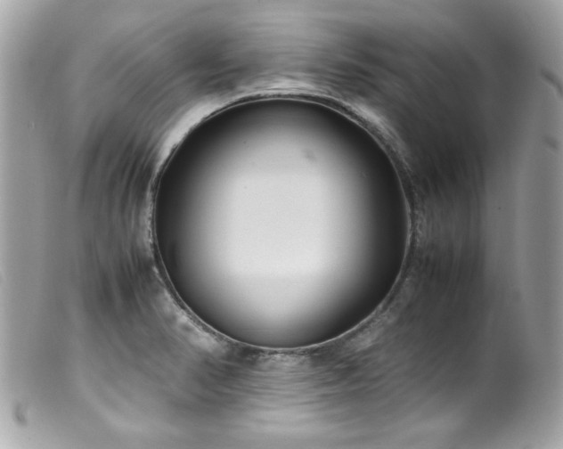 X0000100231374200805301403