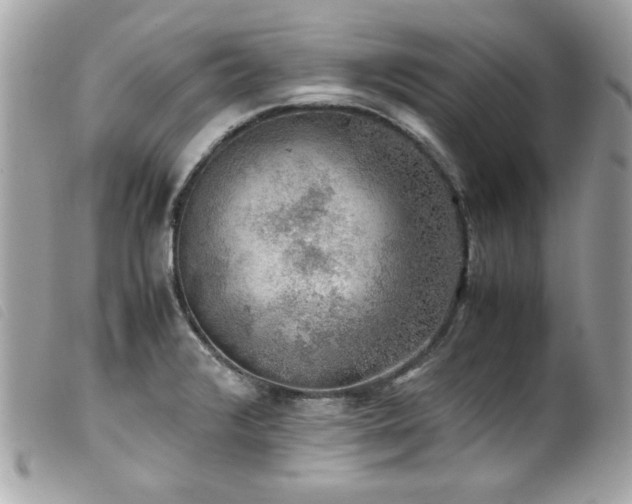 X0000100231376200805301403