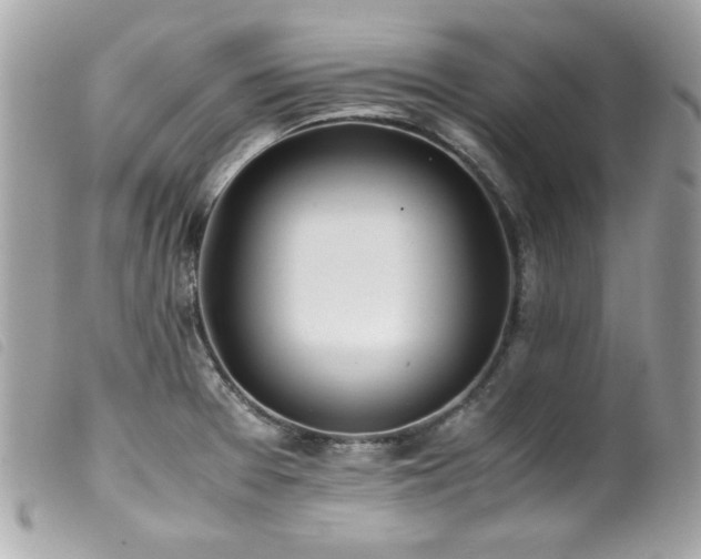 X0000100231377200805301403