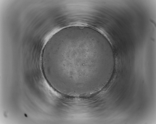 X0000100231379200805301403