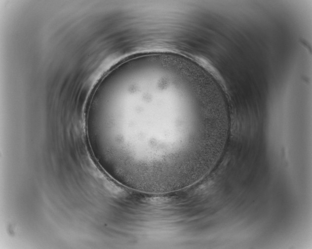 X0000100231380200805301403