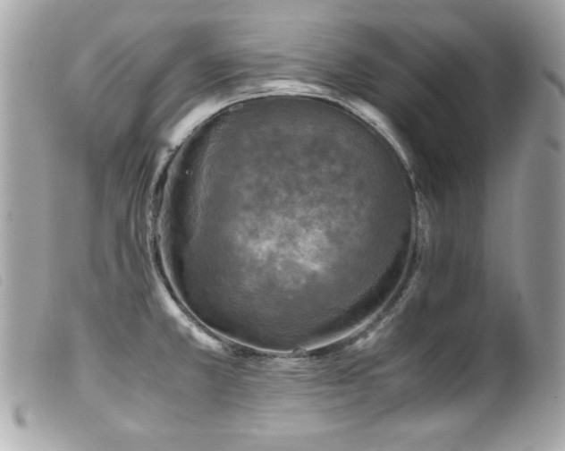 X0000100231381200805301403