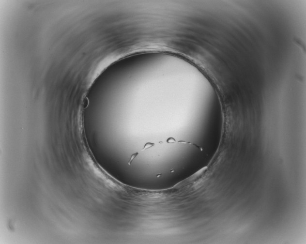 X0000100231382200805301403