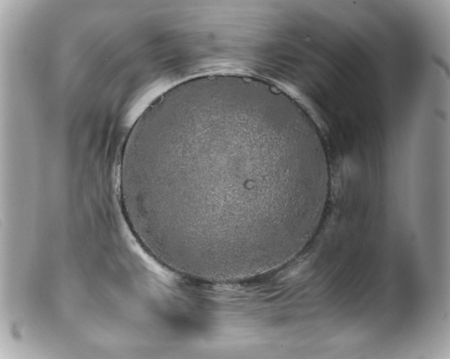 X0000100231383200805301403