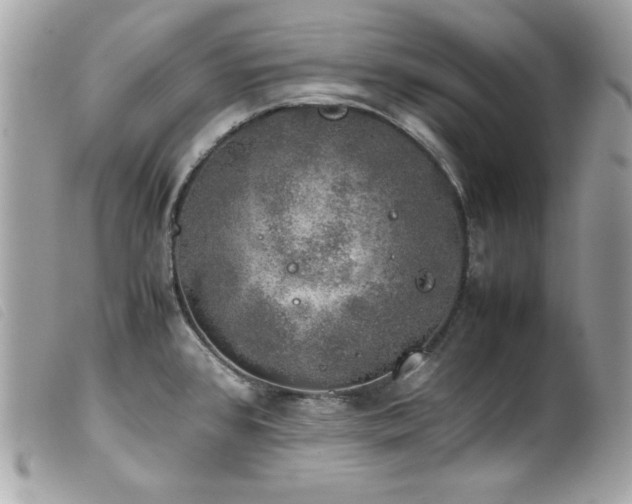 X0000100231384200805301403