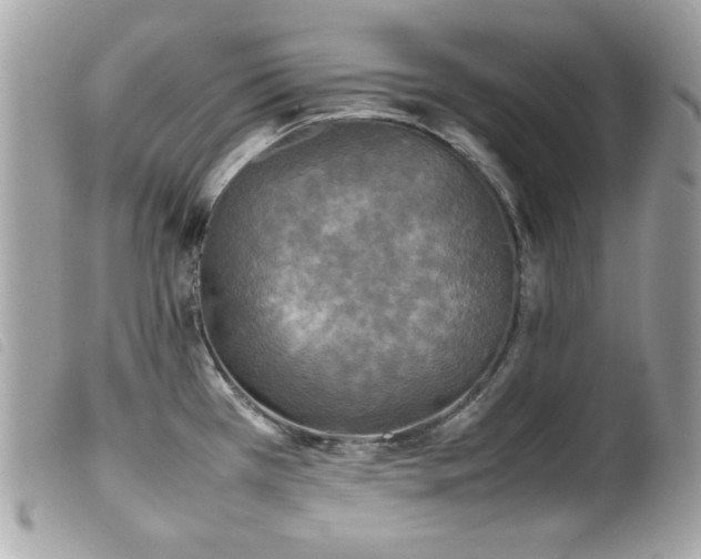X0000100231385200805301403