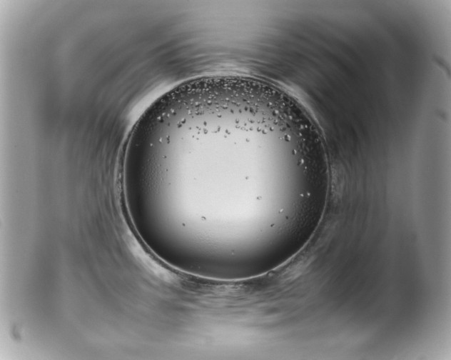 X0000100231387200805301403