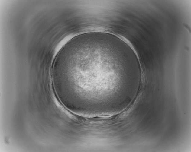 X0000100231389200805301403