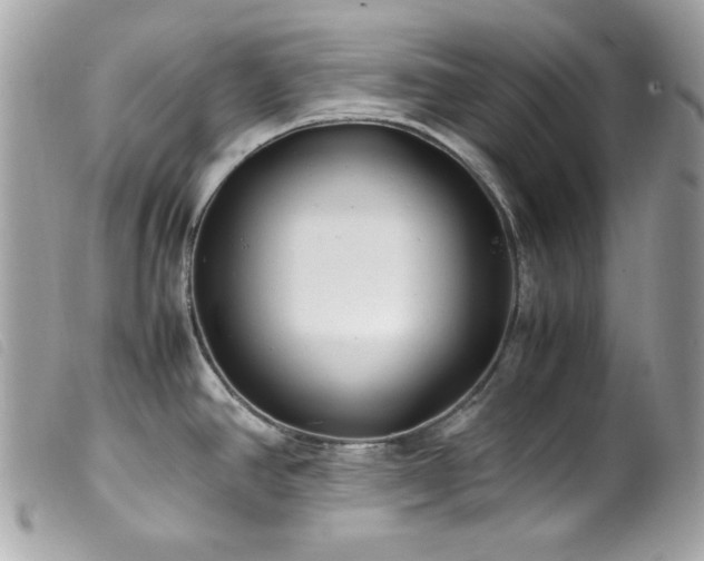 X0000100231390200805301403