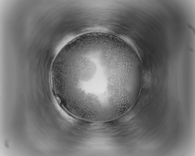 X0000100231391200805301403