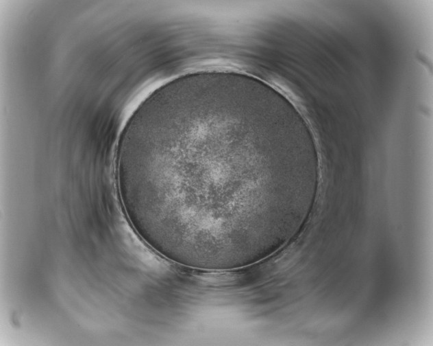 X0000100231392200805301403
