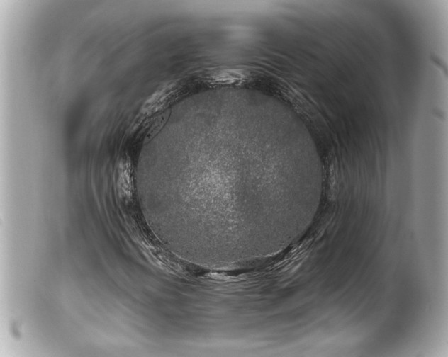X0000100231394200805301402