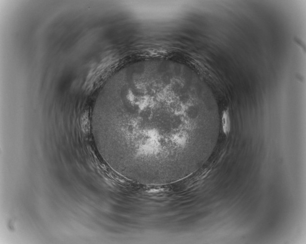 X0000100231395200805301402