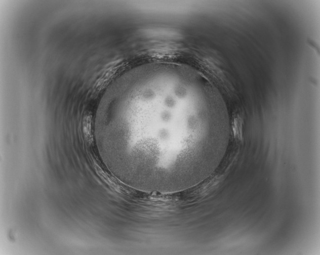 X0000100231396200805301402