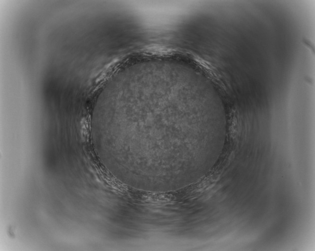 X0000100231397200805301402
