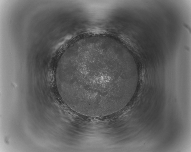 X0000100231398200805301402