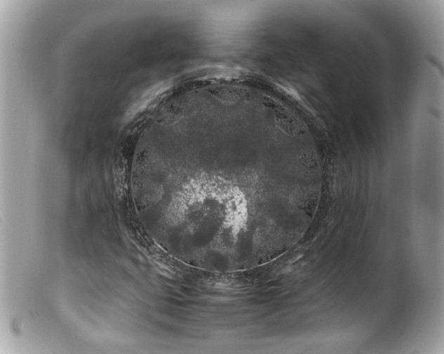 X0000100231399200805301402