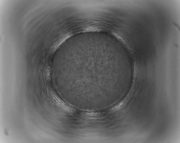 X0000100231401200805301402