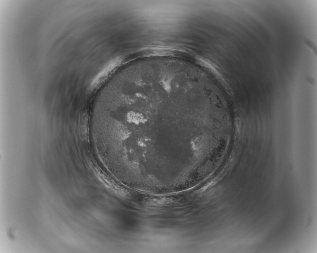 X0000100231403200805301402