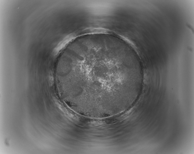 X0000100231407200805301402