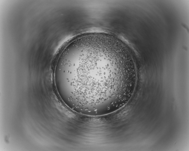 X0000100231408200805301402