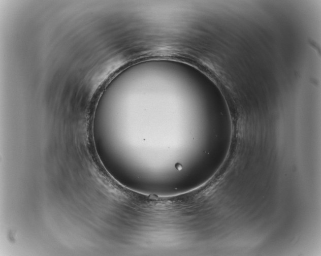 X0000100231410200805301402