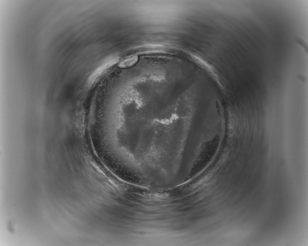 X0000100231411200805301402