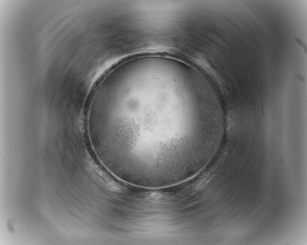 X0000100231412200805301402