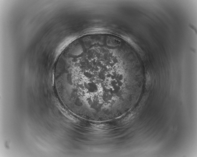 X0000100231413200805301402