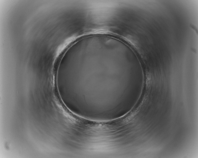 X0000100231414200805301402