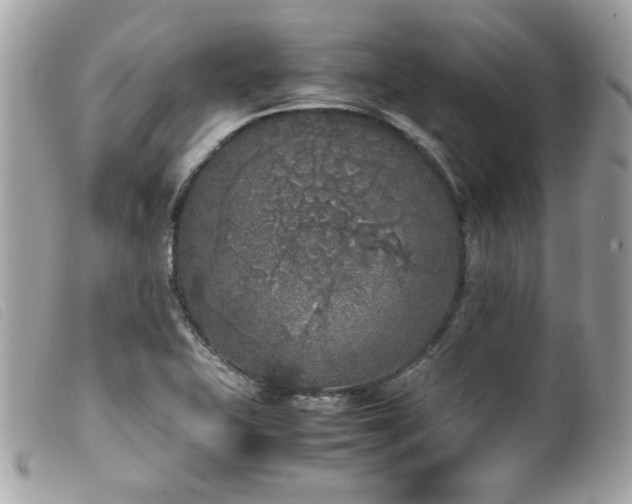 X0000100231415200805301402