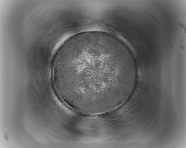 X0000100231416200805301402