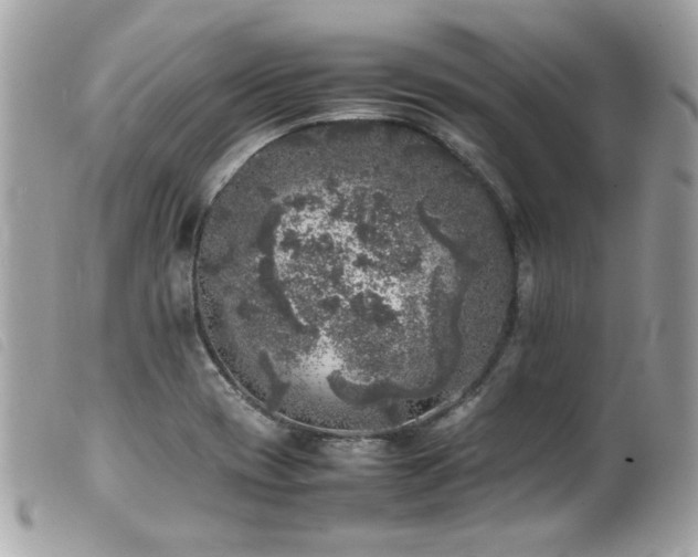 X0000100231417200805301402