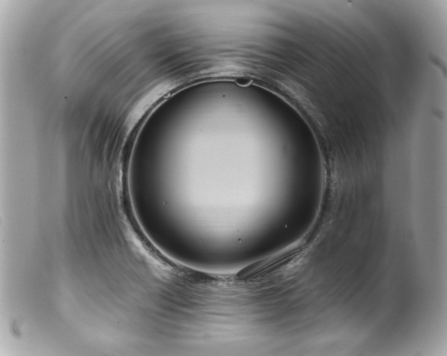X0000100231418200805301403