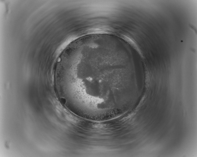 X0000100231419200805301403