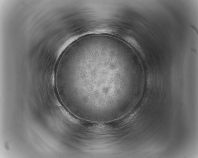 X0000100231420200805301403