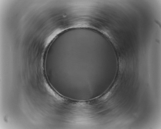 X0000100231422200805301403