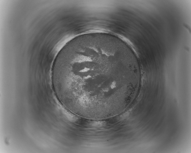 X0000100231423200805301403