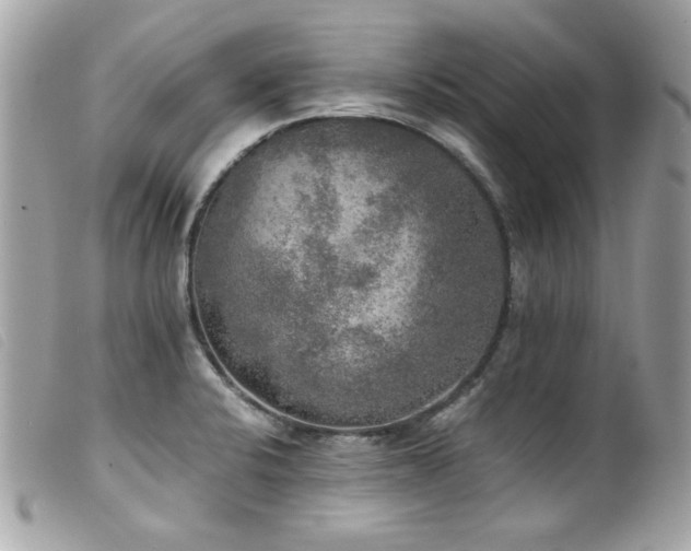 X0000100231424200805301403
