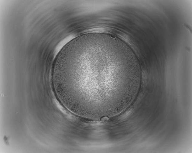 X0000100231426200805301403