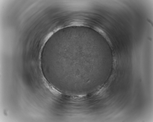 X0000100231427200805301403