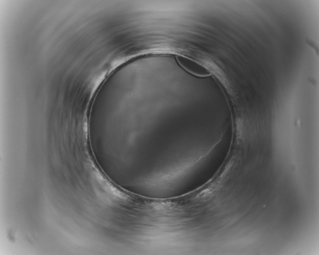 X0000100231428200805301403