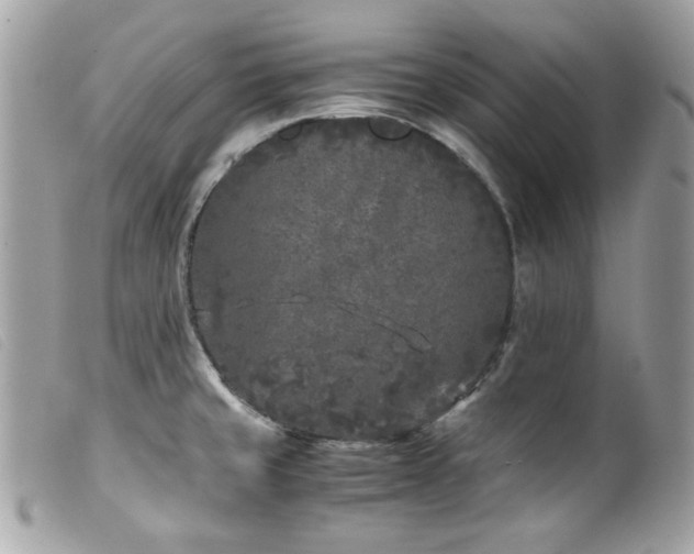 X0000100231429200805301403