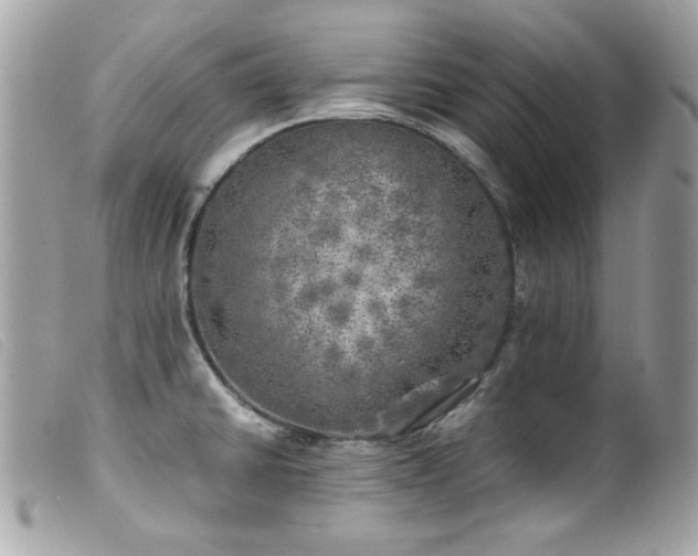 X0000100231430200805301403