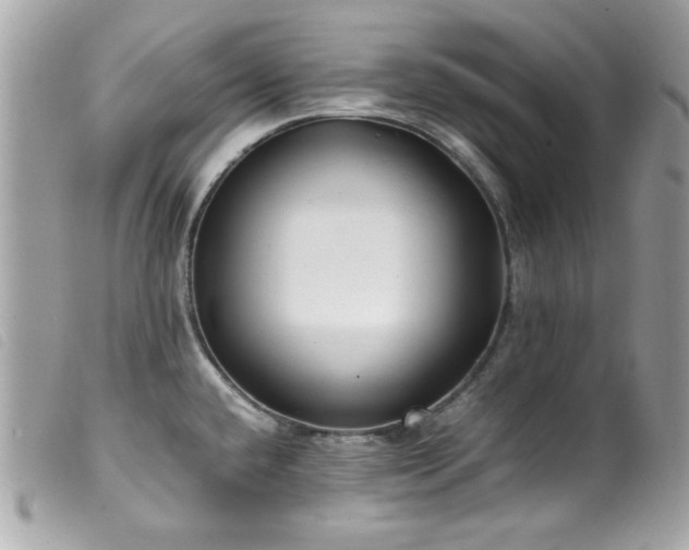X0000100231432200805301403